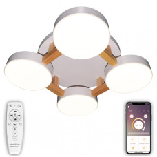 Потолочный светильник Natali Kovaltseva LED LAMPS 81325