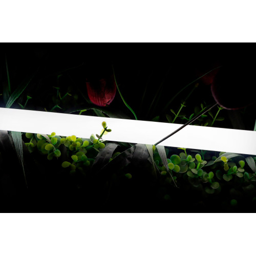 Светодиодная лента SWG 2835 360 LED/м 16 Вт/м 24В 4000K IP66 013284