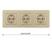 Розетка тройная (трехпостовая) с/з и шторками Arte Milano SET16-3-40-1x3 shampan