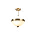 Потолочный светильник Myfar Biene MR1525-3C