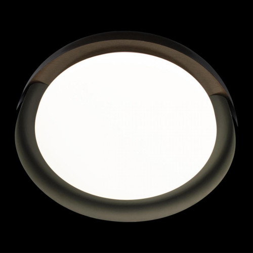 Потолочный светильник Loft IT Coin 10198 Black