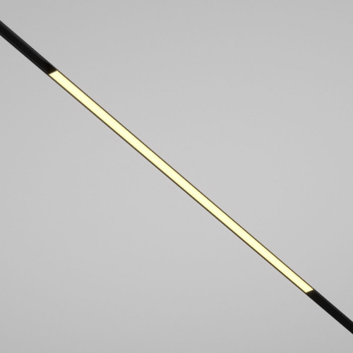 Трековый магнитный светильник Maytoni Basis TR030-2-30W2.7K-B