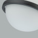 Подвесной светильник Favourite Ringar 4502-1P