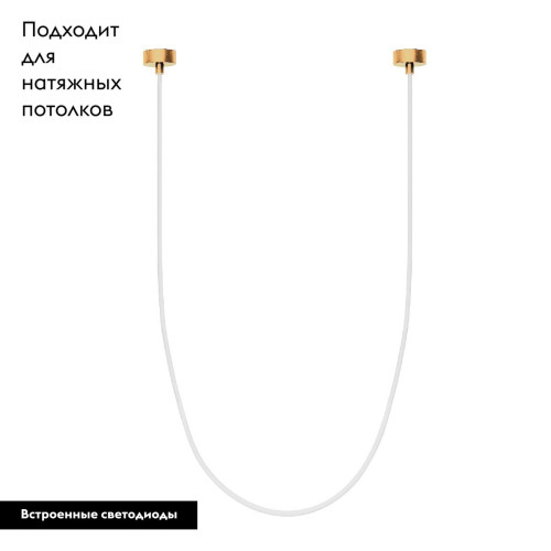 Подвесной светильник Arlight SP-TROPIC-SURFACE-R18-L2500-36W Warm3000 (GD, 360 deg, 230V) 043404