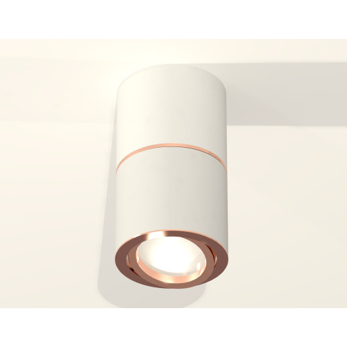 Потолочный светильник Ambrella Light Techno Spot XS7401220 (C7401, A2073, C7401, N7005)