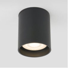 Уличный потолочный светильник Elektrostandard Light LED 4690389176968