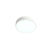 Потолочный светильник Zortes Tortty ZRS.02564.36
