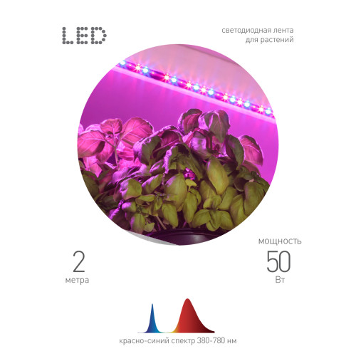 Светодиодная лента для растений Эра 18Вт 1400K 2м IP65 FITO-Strip Light-RB-2m красно-синего спектра Б0057282