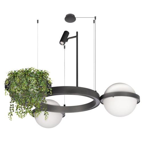 Подвесная люстра Loft IT Jardin 10121/2 Dark grey