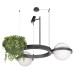 Подвесная люстра Loft IT Jardin 10121/2 Dark grey