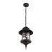 Уличный подвесной светильник Loft IT Prato 100021P