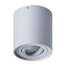 Потолочный светильник Arte Lamp Falcon A5645PL-1GY