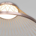 Потолочная люстра Eurosvet Cesta 40019/1 LED коричневый a069291