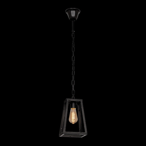Подвесной светильник LOFT IT Modern filament Loft1127