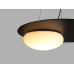 Подвесной светильник Delight Collection 352 P0352-480A black