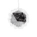 Подвесная люстра LOFT IT Taraxacum 10470/600