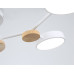 Люстра на штанге Ambrella Light Linetech Comfort FL4858