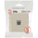 Розетка Эра Arktik 16-3107-04 информационная RJ45 шампань Б0070477