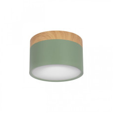 Накладной светильник Loft IT Grape 10162 Green
