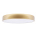 Потолочный светильник Loft IT Flims 10228/A
