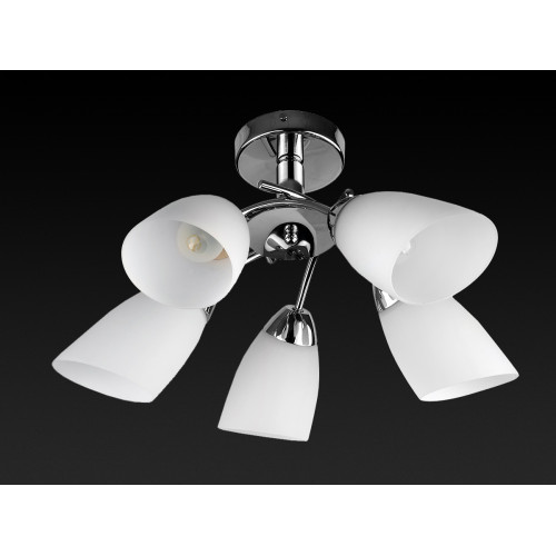 Потолочная люстра Toplight Carmel TL3600X-05CH