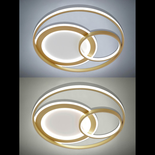Потолочная люстра Natali Kovaltseva LED LAMPS 81312