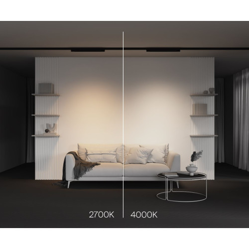 Трековый трехфазный светильник Maytoni Basis TR196-3-20W4K-B