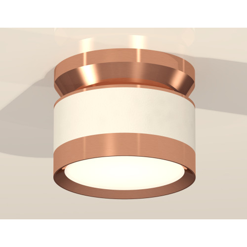 Потолочный светильник Ambrella Light Techno Spot XS8101065 (N8912, C8101, N8126)