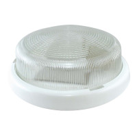 Настенно-потолочный светильник TDM Electric Рондо НПП 03-100-015.01 SQ0311-0008