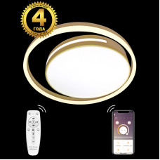Потолочная люстра Natali Kovaltseva LED LAMPS 81304