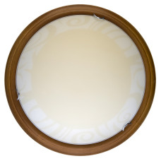 Настенно-потолочный светодиодный светильник Toplight Ginger TL9620Y-00OA