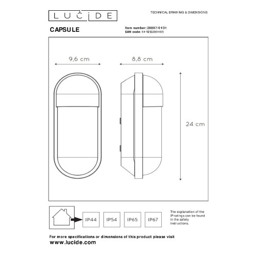 Уличный настенный светильник Lucide Capsule 29897/01/31