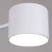 Люстра на штанге Reluce 47206-0.3-06WT