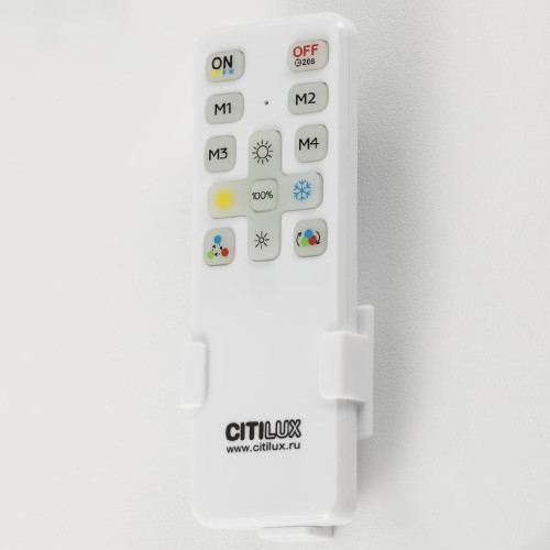 Потолочная люстра Citilux Стиг CL203141