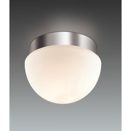 Потолочный светильник Odeon Light Minkar 2443/1A