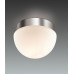 Потолочный светильник Odeon Light Minkar 2443/1A