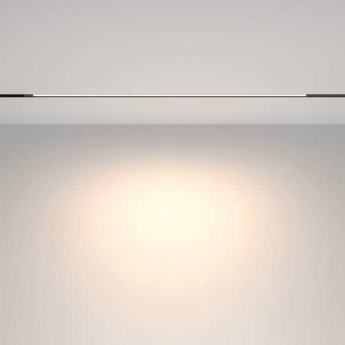 Трековый магнитный светильник Maytoni Technical Basis TR231-2-15W4K-B