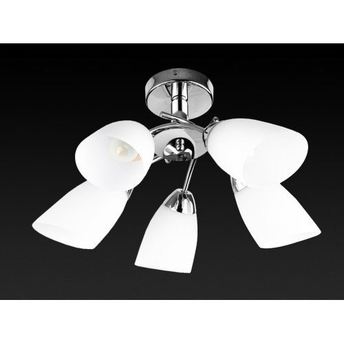 Потолочная люстра Toplight Carmel TL3600X-05CH