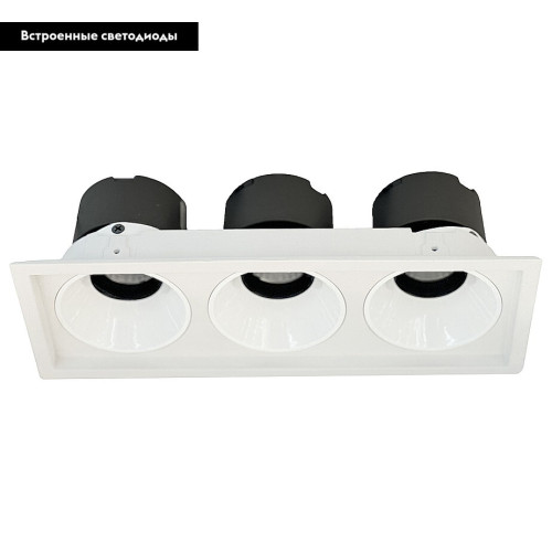 Встраиваемый светильник Wertmark Dorsum WTD.O21.000.30.30