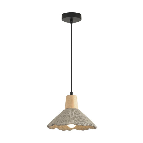 Подвесной светильник Lumion Suspentioni Eoliana 8351/1A