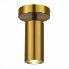 Потолочный светильник ST Luce Talia SL1215.402.01