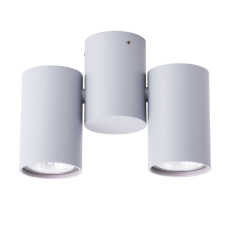 Накладной светильник ARTE Lamp A1511PL-2GY