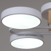 Потолочная люстра Reluce 03322-0.3-06 WH+WOOD