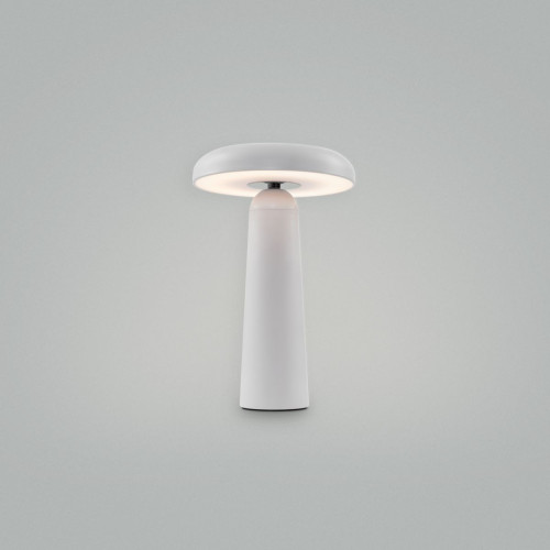 Настольная аккумуляторная лампа Freya Mushroom FR6109TL-L4W