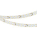Светодиодная лента Arlight RZ-A160-15mm 24V White6000 (19.2 W/m, IP20, 2835, 5m) 036016
