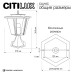 Ландшафтный светильник Citilux Forts CLU10C