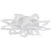 Потолочная светодиодная люстра Natali Kovaltseva Olimp LED LAMPS 81335-74067