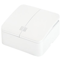 Выключатель двухклавишный Stekker София MSW10-21-01 49290