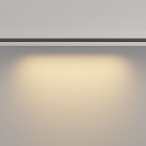 Трековый магнитный светильник Maytoni Basis TR190-1-10W2.7K-B