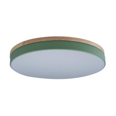 Потолочный светильник Loft IT AXEL 10001/36 Green